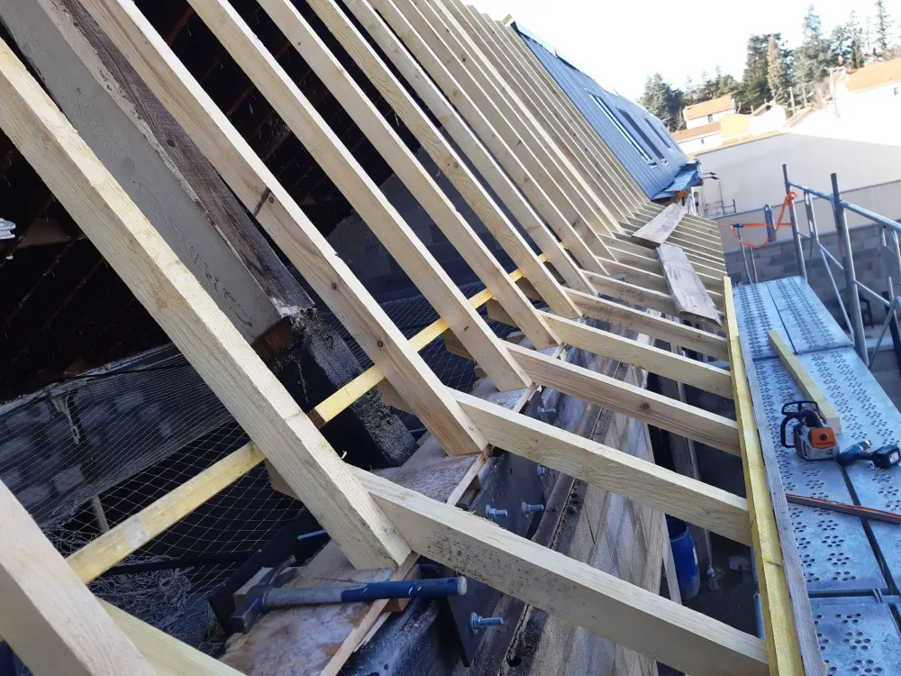 Charpentier près de Villerest 